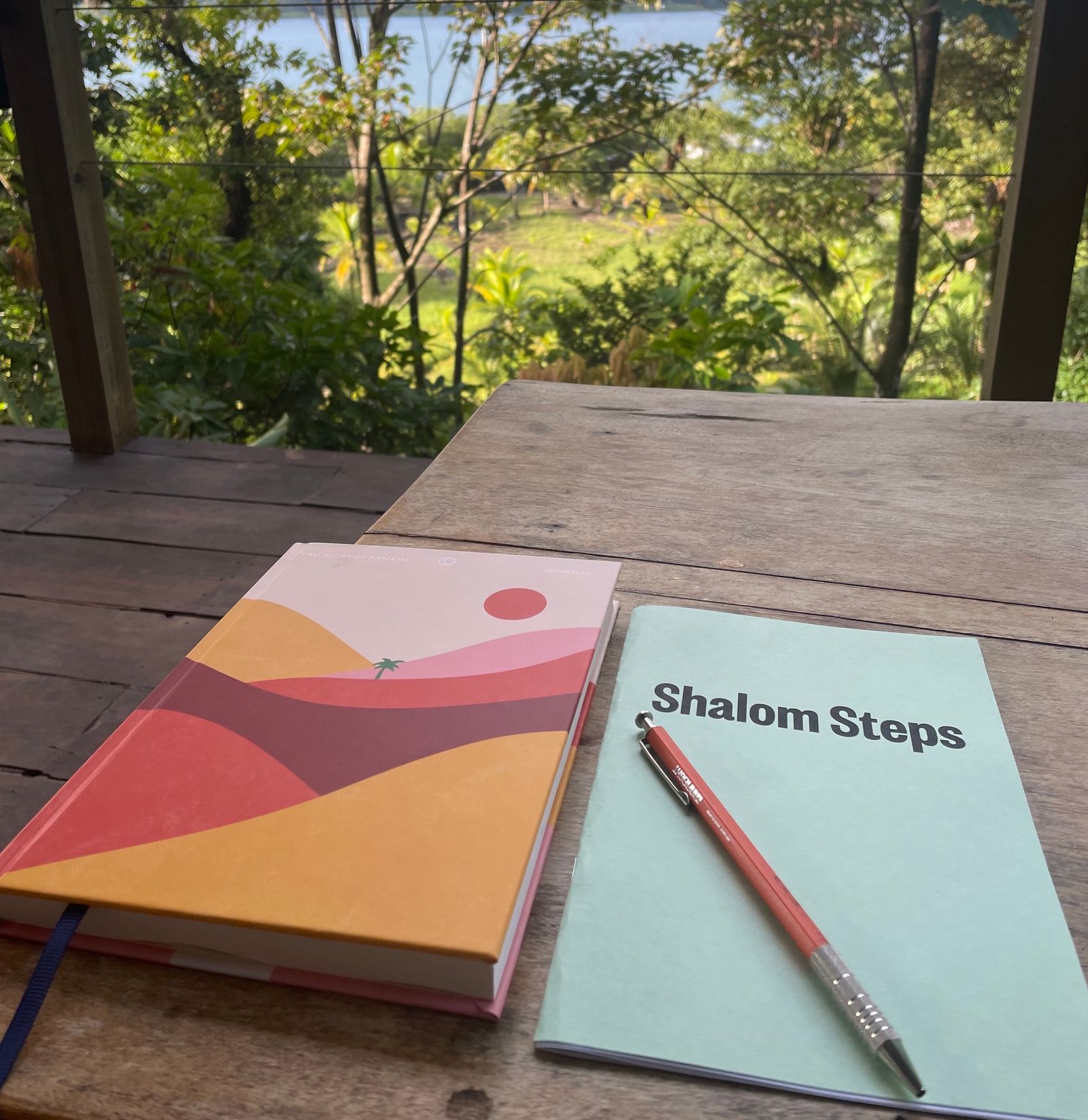 Shalom Steps